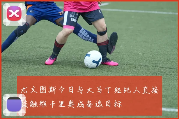 尤文图斯今日与大马丁经纪人直接接触维卡里奥成备选目标